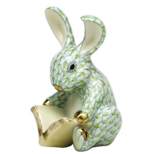 Fishnet StoryBook Bunny, Keylime